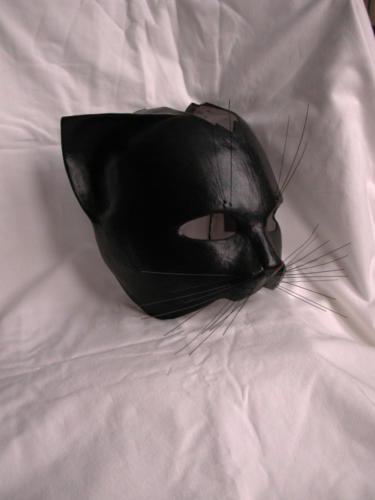cat2