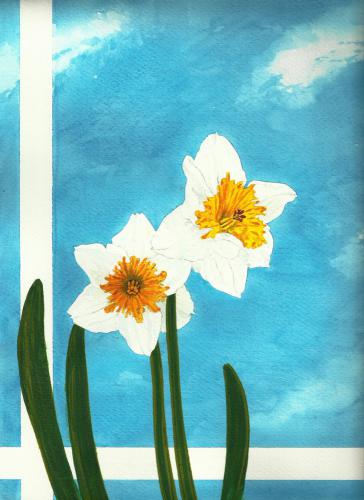 daffodils1
