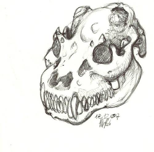 dragonskull