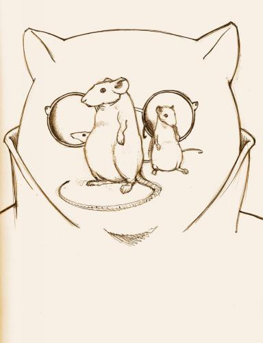 mice