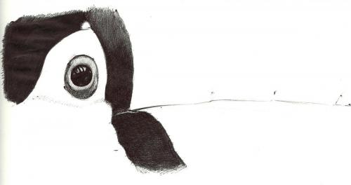 toucan2